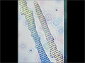 Music themed clarinet Thank You card